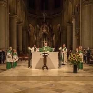 Sendungsfeier in den pastoralen Dienst der Diözese Linz am Sonntag, 27. September 2020 in der Mariendom LinzBild:Foto: Jack Haijes