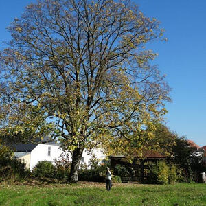 Bildungshaus St. Benedikt