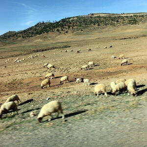 Reise nach Marokko