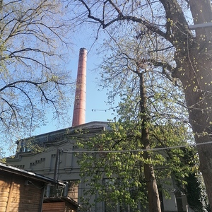 Suchfoto