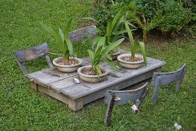 Garten Andre Heller