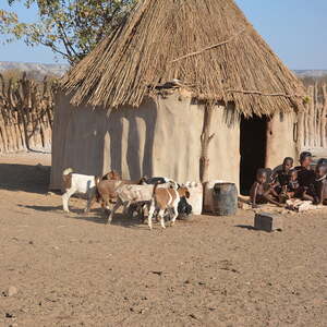 Hütte im Himba Kral