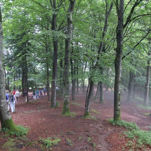 Betriebsausflug 