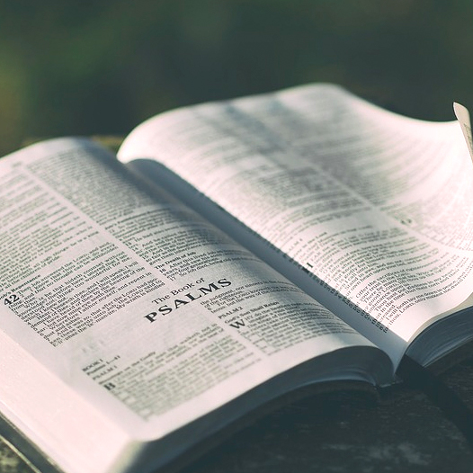 Bibel